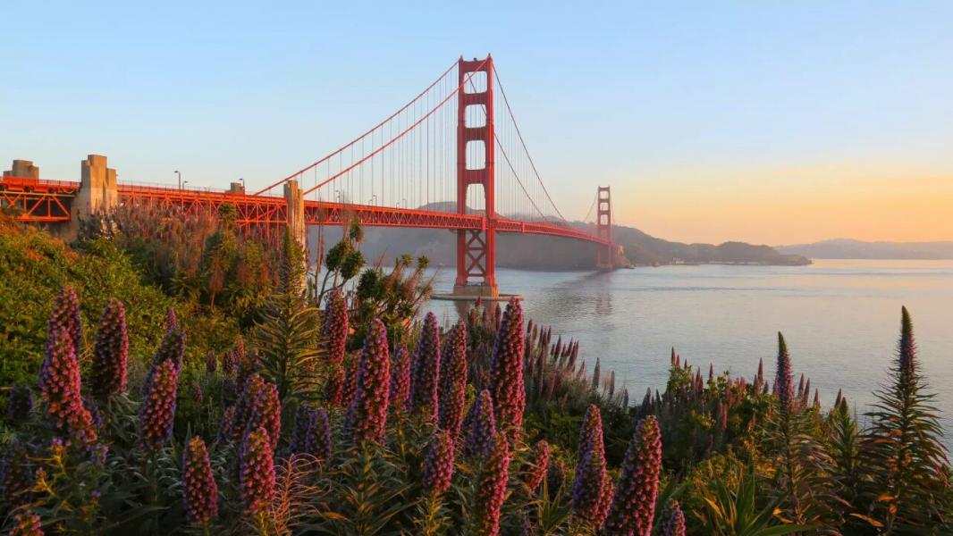New York  & Los Angeles & Las Vegas  San Francısco Turu Rotası