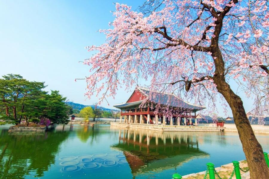  Dolu Dolu Japonya & Kore Turu Mistik Rotalar 