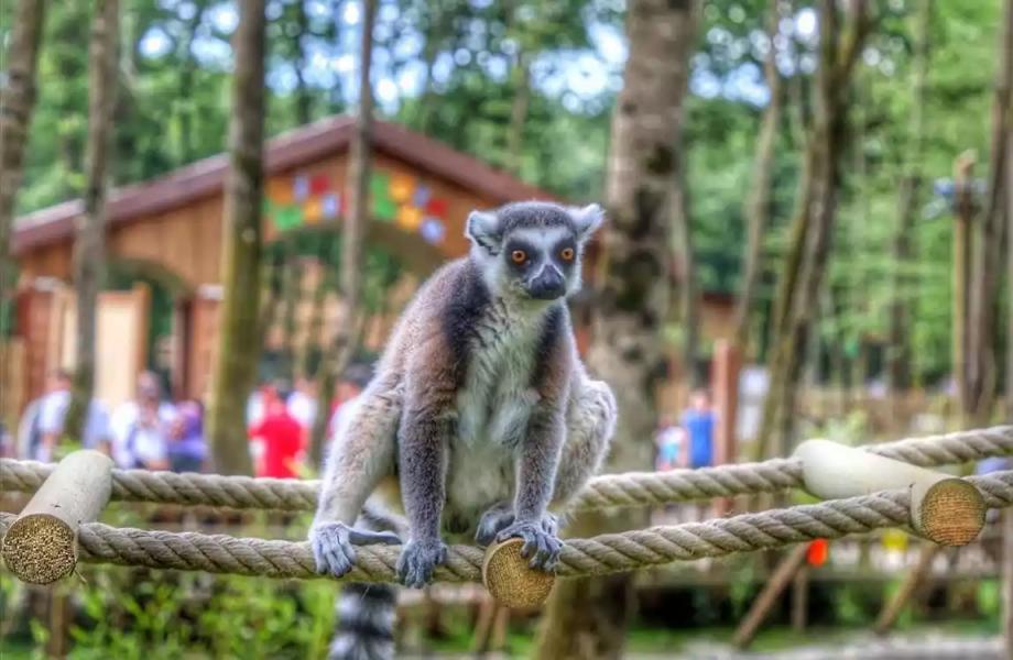 Kartepe Maşukiye Ormanya Turu 2 Gece Konaklamalı