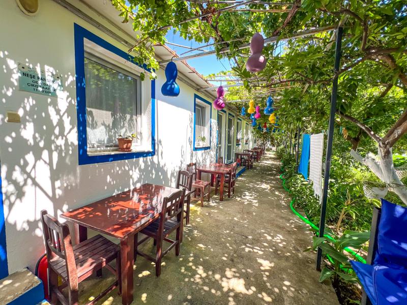 Neşe Pansiyon - Bodrum, Mazı