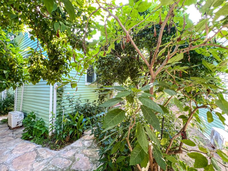 Denizci Pansiyon - Bodrum Mazı 