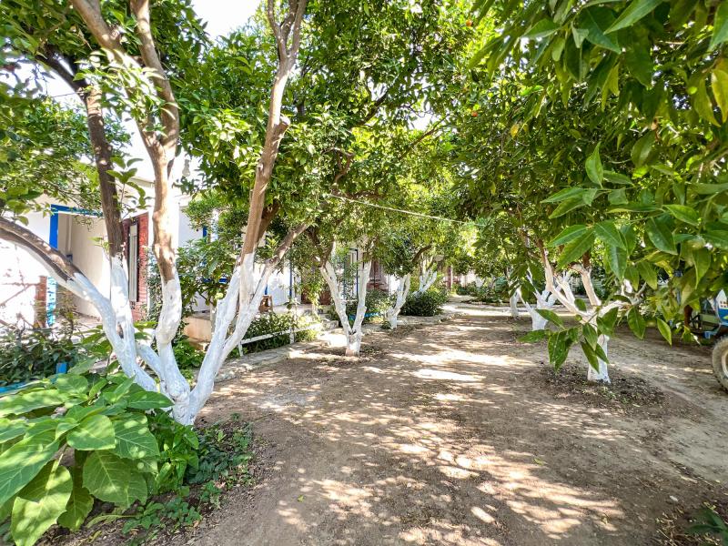 Denizci Pansiyon - Bodrum Mazı 