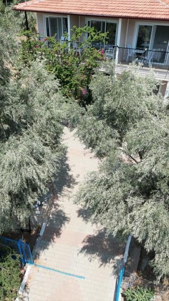Keman Pansiyon - Bodrum, Mazı