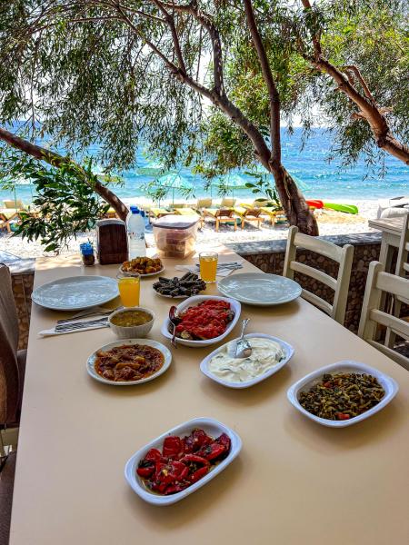 Çiçek Pansiyon - Bodrum Mazı